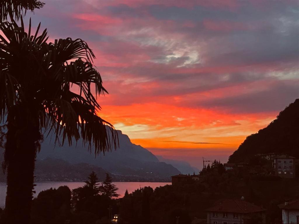 Villa Mojana Bellagio Oliveto Lario Екстер'єр фото